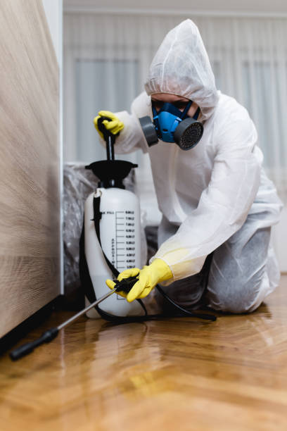 Best Real Estate Pest Inspections  in Yorkvle, IL